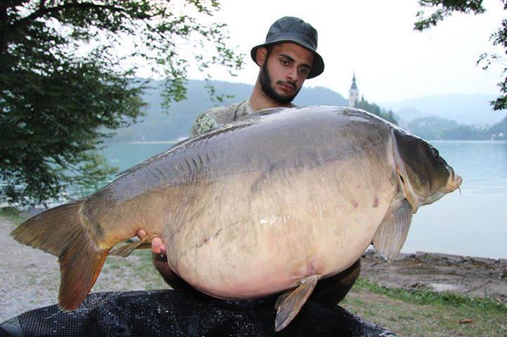 Dulapi - 9994684626431671673381070698777n.jpg